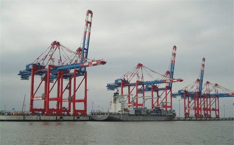 1706075318361079.jpg 4.jpg